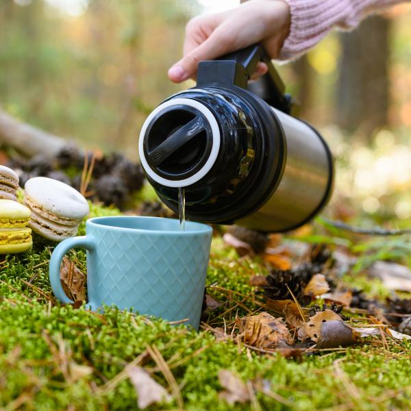 Waldbaden I Kräuter (Pausen) Tee I Inhalt: 100 g